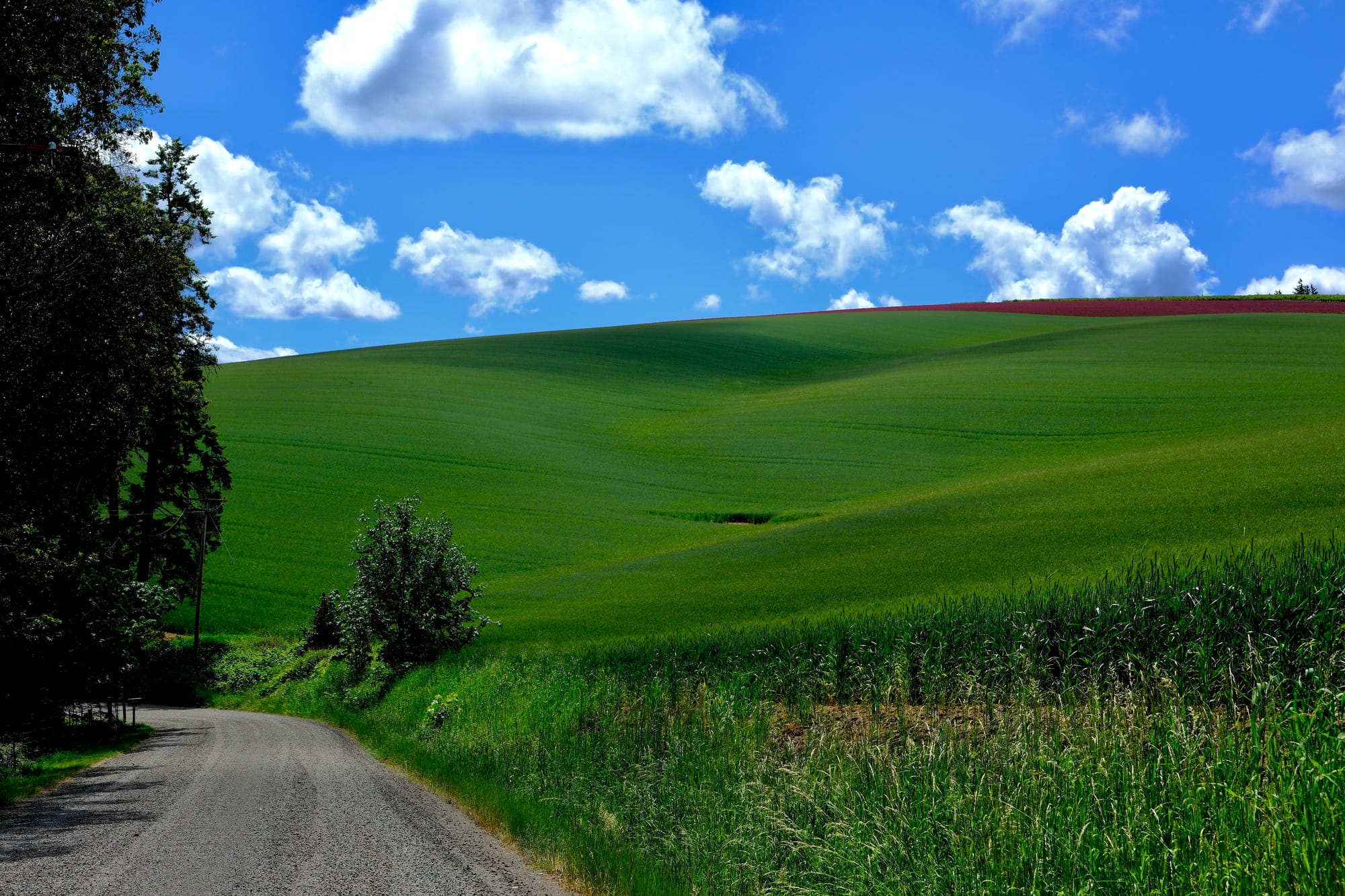 A gravel road curves past lush, green rolling hills under a bright blue sky with scattered white clouds.