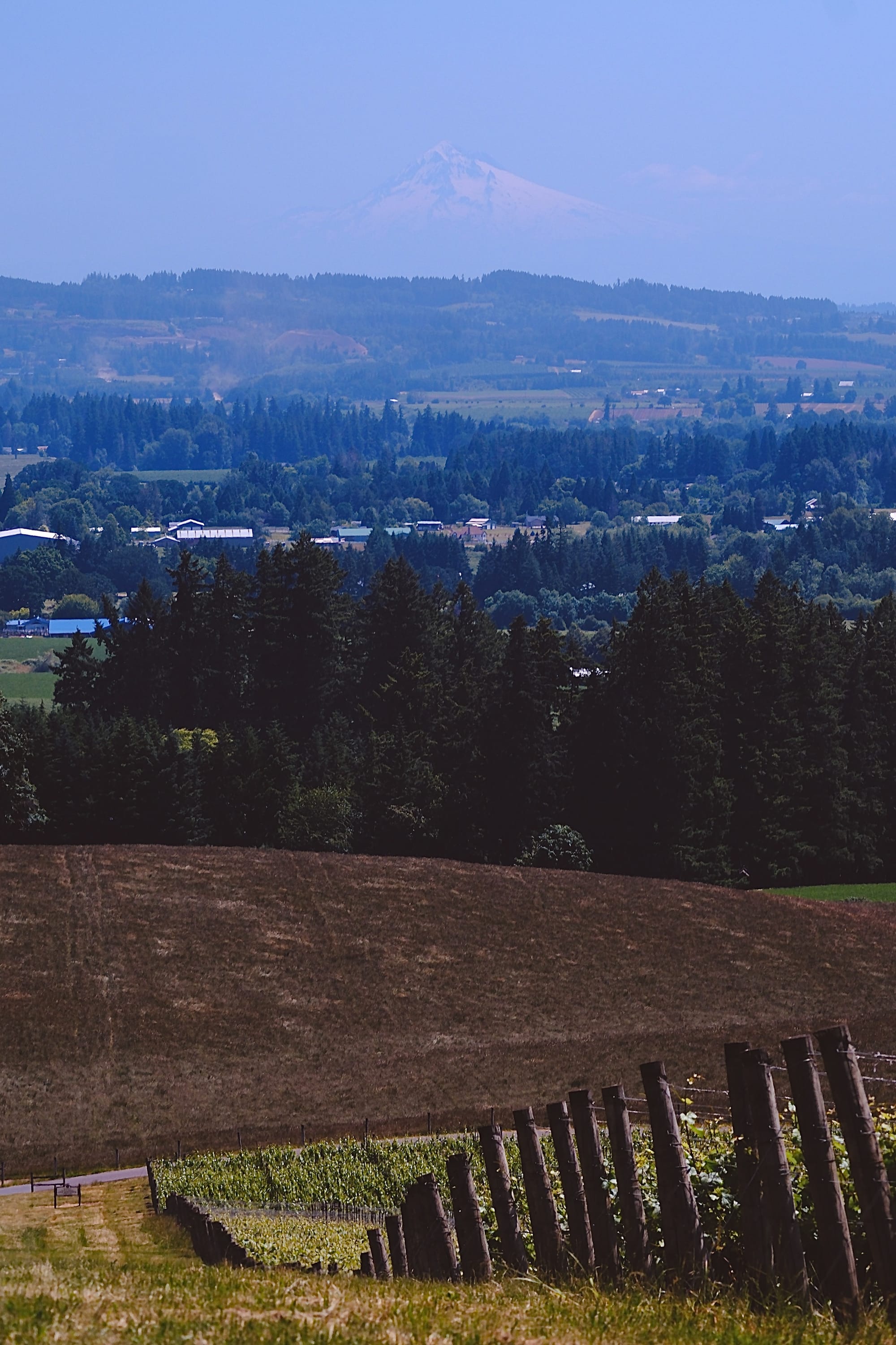 A scenic view of a rural landscape featuring a grass field, a line of wooden posts, and a distant mountain under a clear sky.