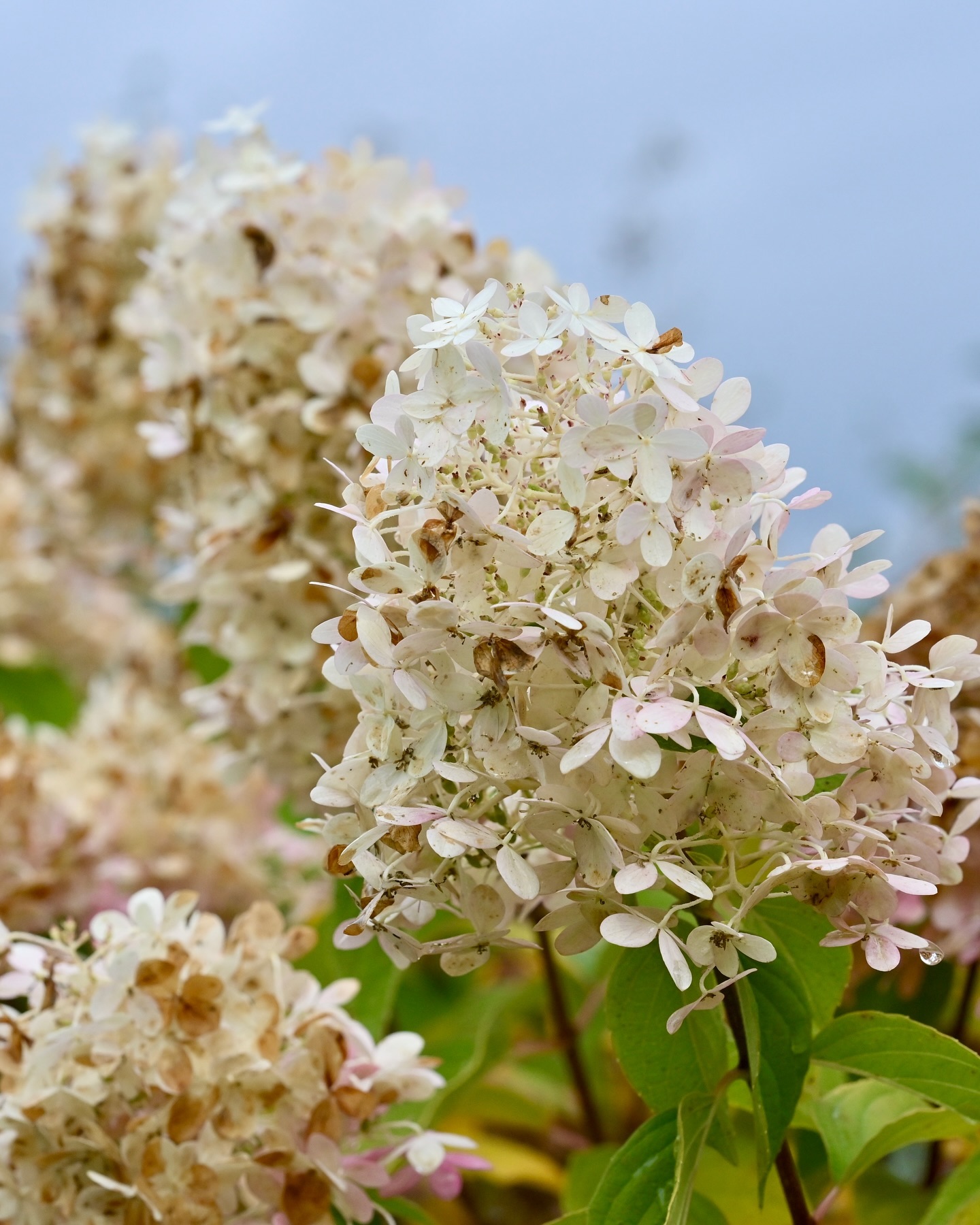 Binding rocks around the park. I love this time of year.