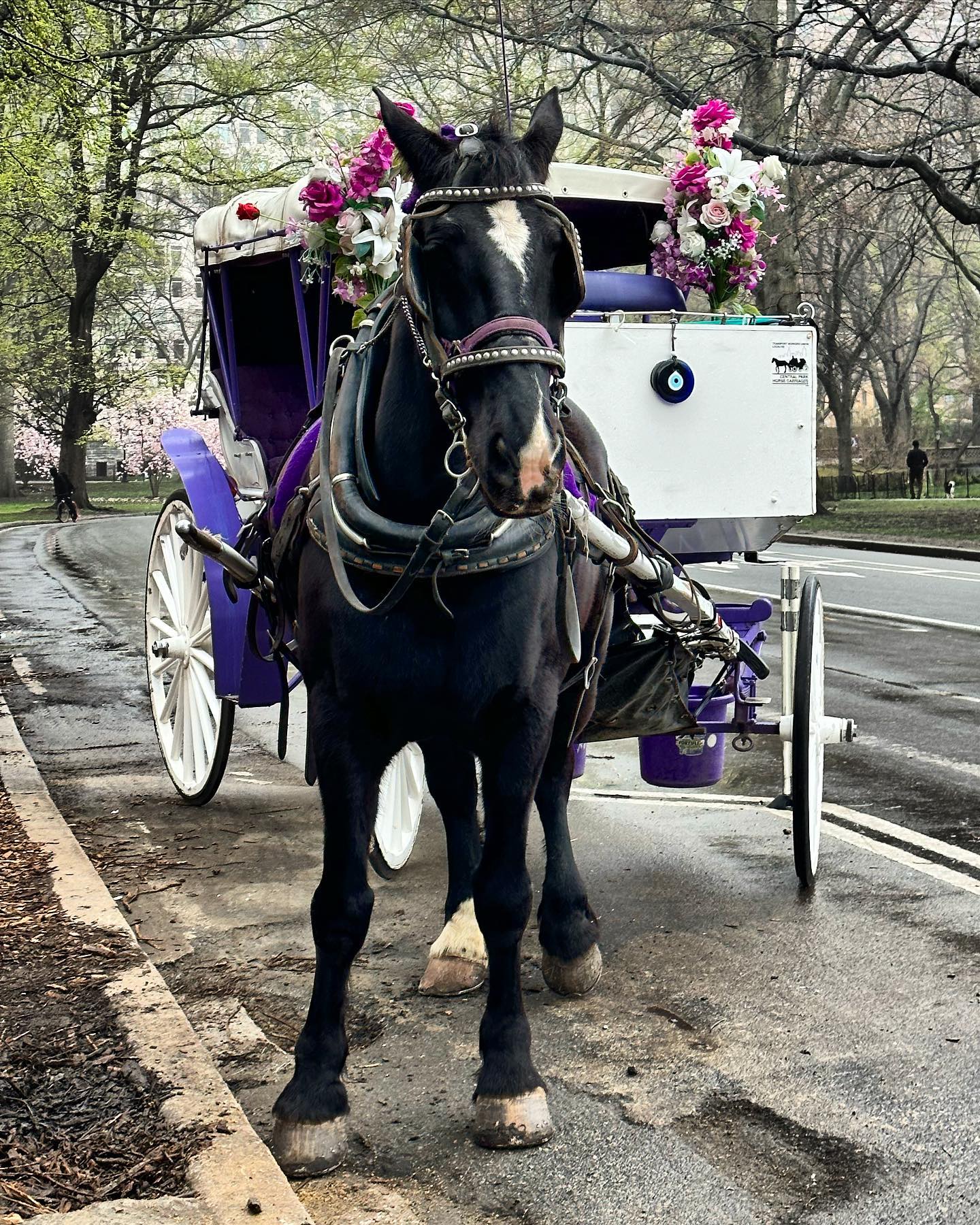 Hayyy. Someone order a ride?