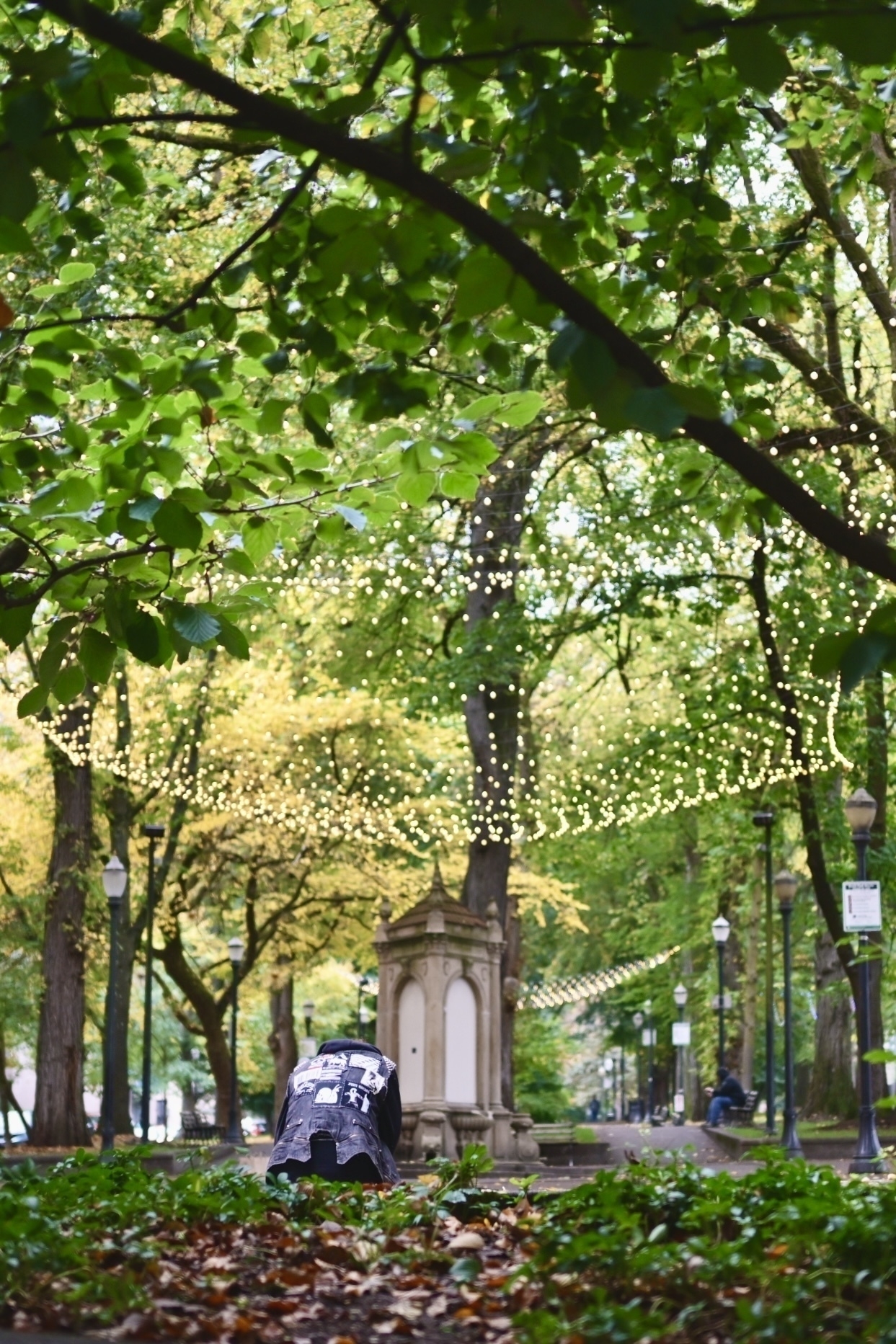 A serene park scene features a pathway adorned with string lights leading to a decorative stone structure, surrounded by lush green trees.