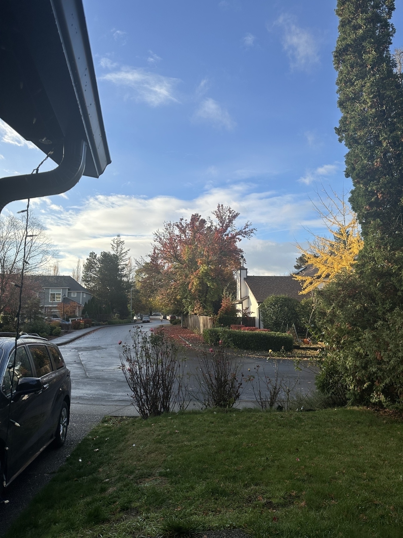 A suburban neighborhood is shown with autumn foliage, wet roads, and partly cloudy skies.