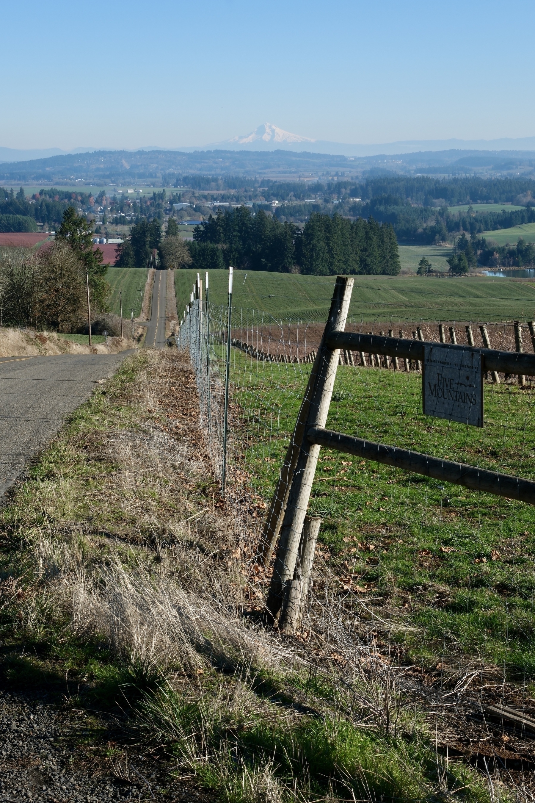 A rural landscape features a winding road next to a fencing line, with distant mountains visible under a clear blue sky.