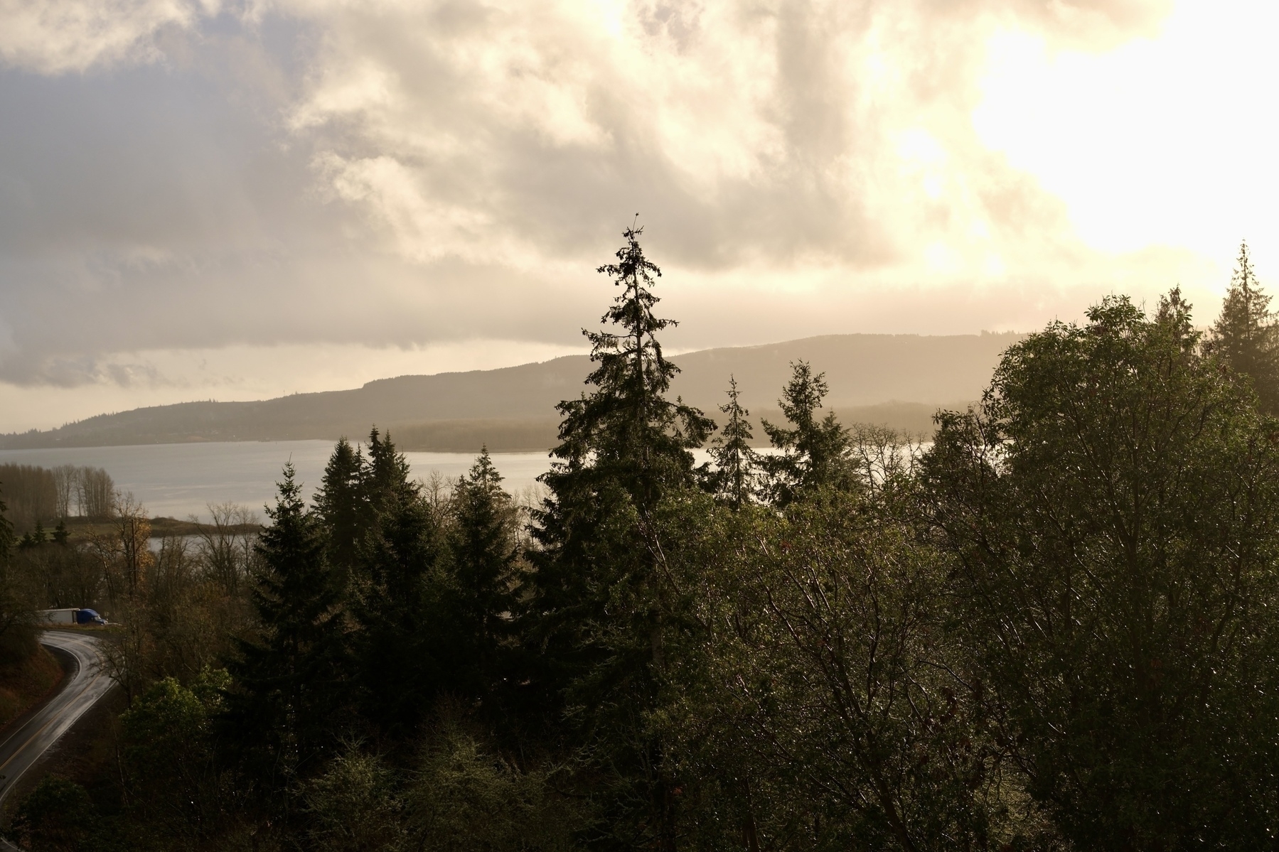 A forested landscape features a winding road with a distant view of a lake and mountains under a cloudy sky.