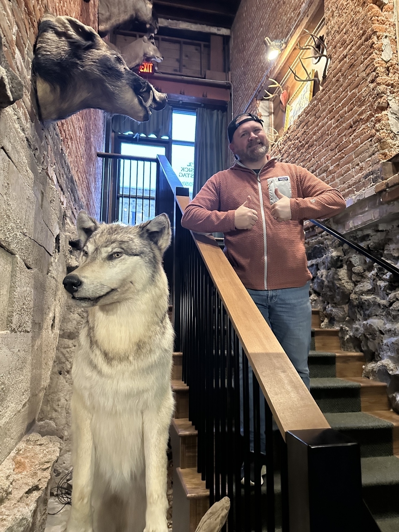 A person stands on a staircase next to a lifelike wolf figure, with animal heads mounted on the walls above.