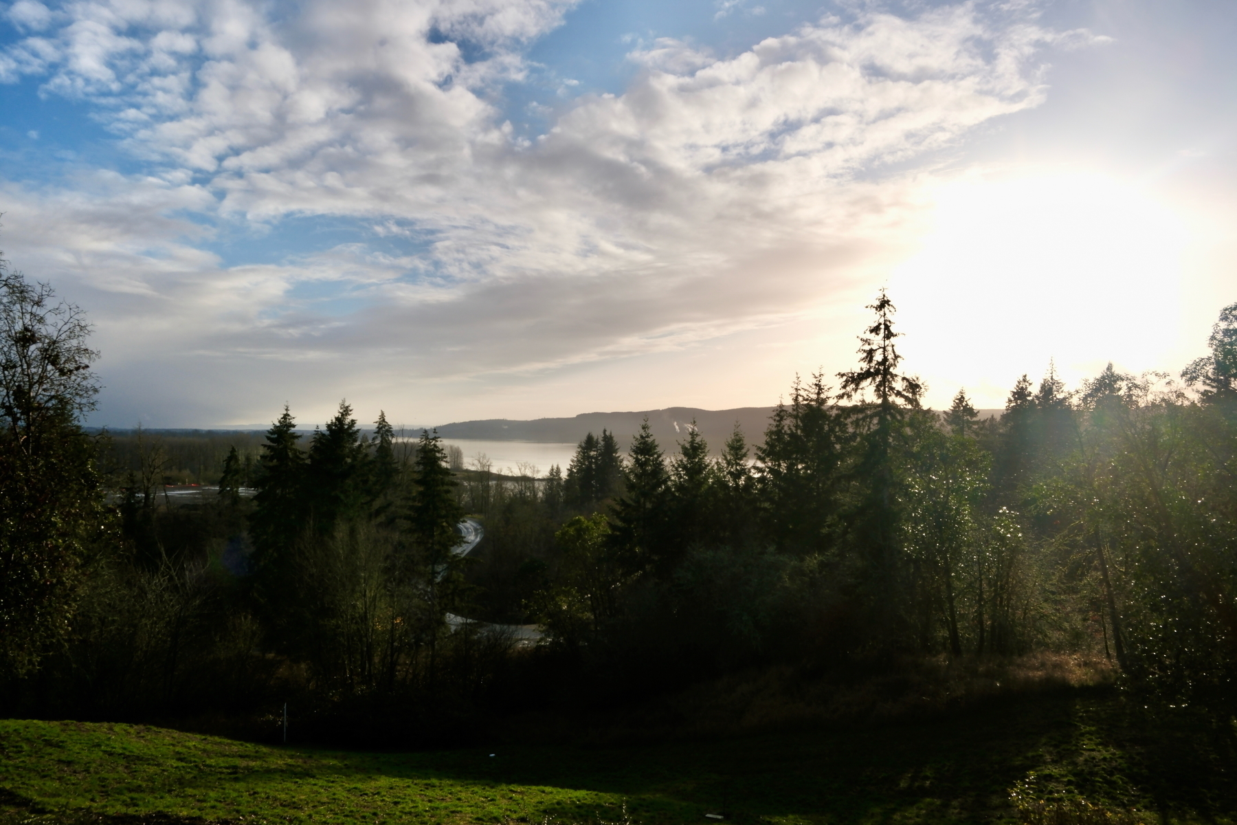 Columbia River with a partly cloud sky and evergreen trees in the foreground. 