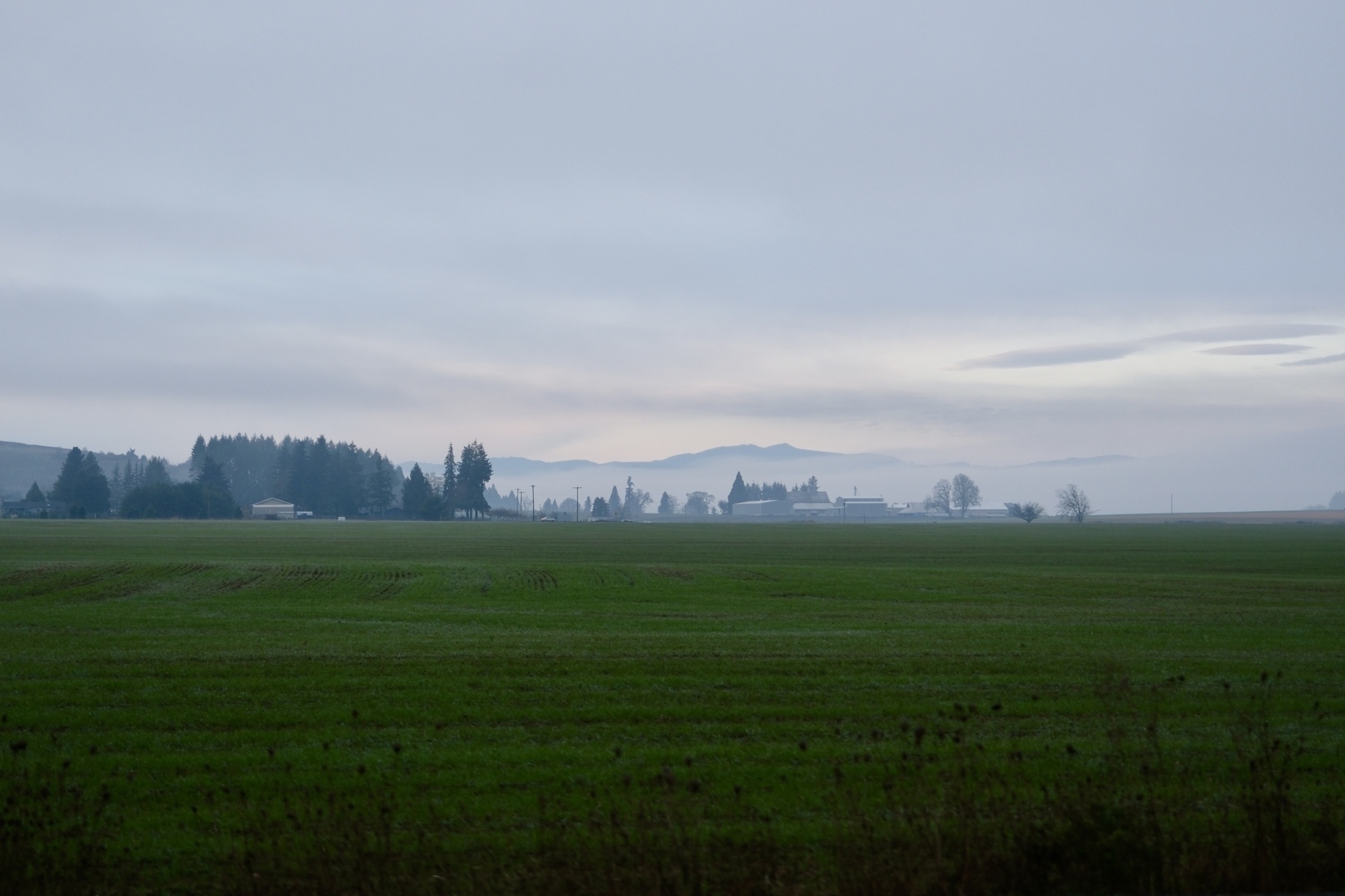 A vast, tranquil landscape features a green field under a cloudy sky with distant trees and buildings.