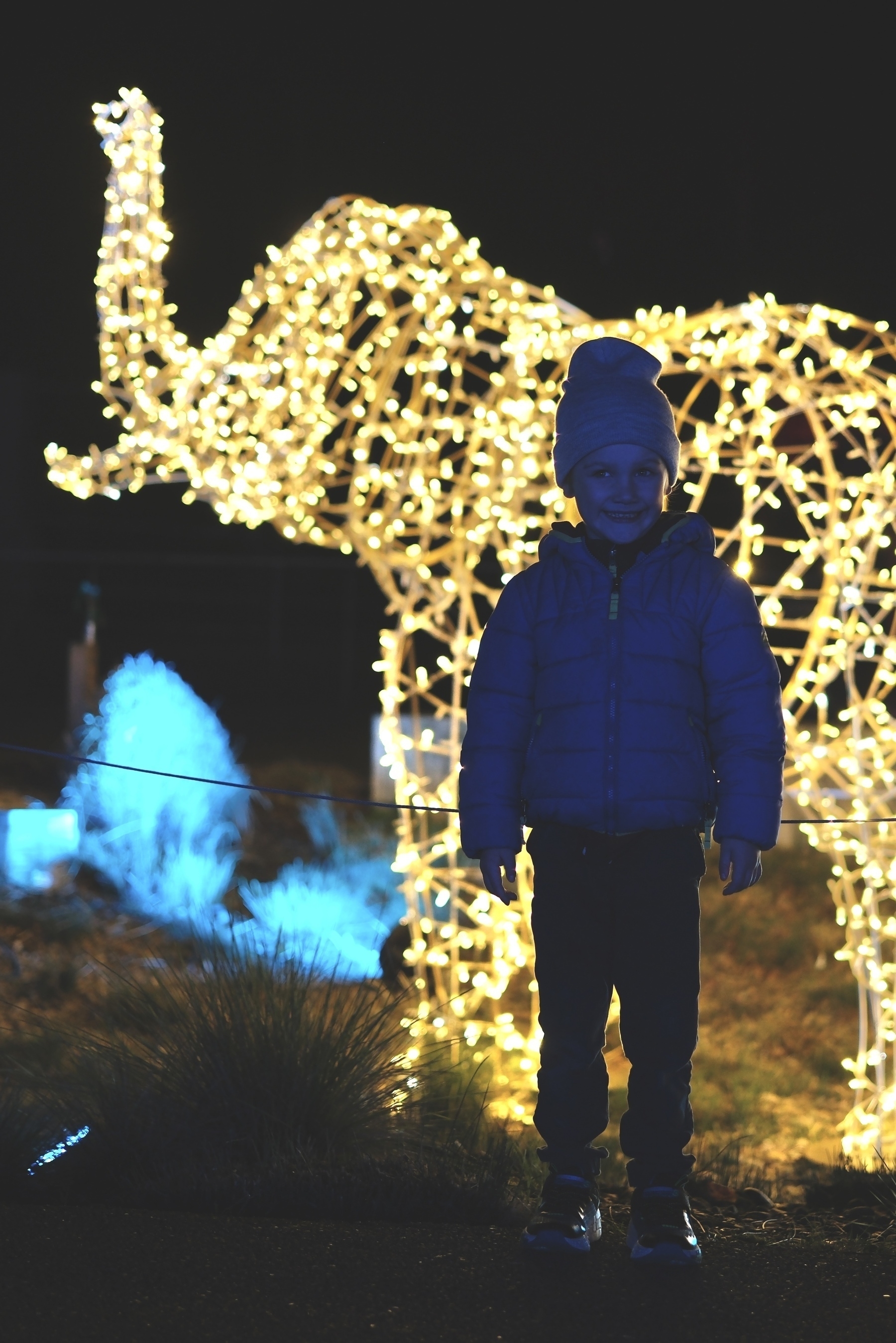 A child in a blue jacket and beanie stands in front of an elephant structure adorned with glowing lights at night.