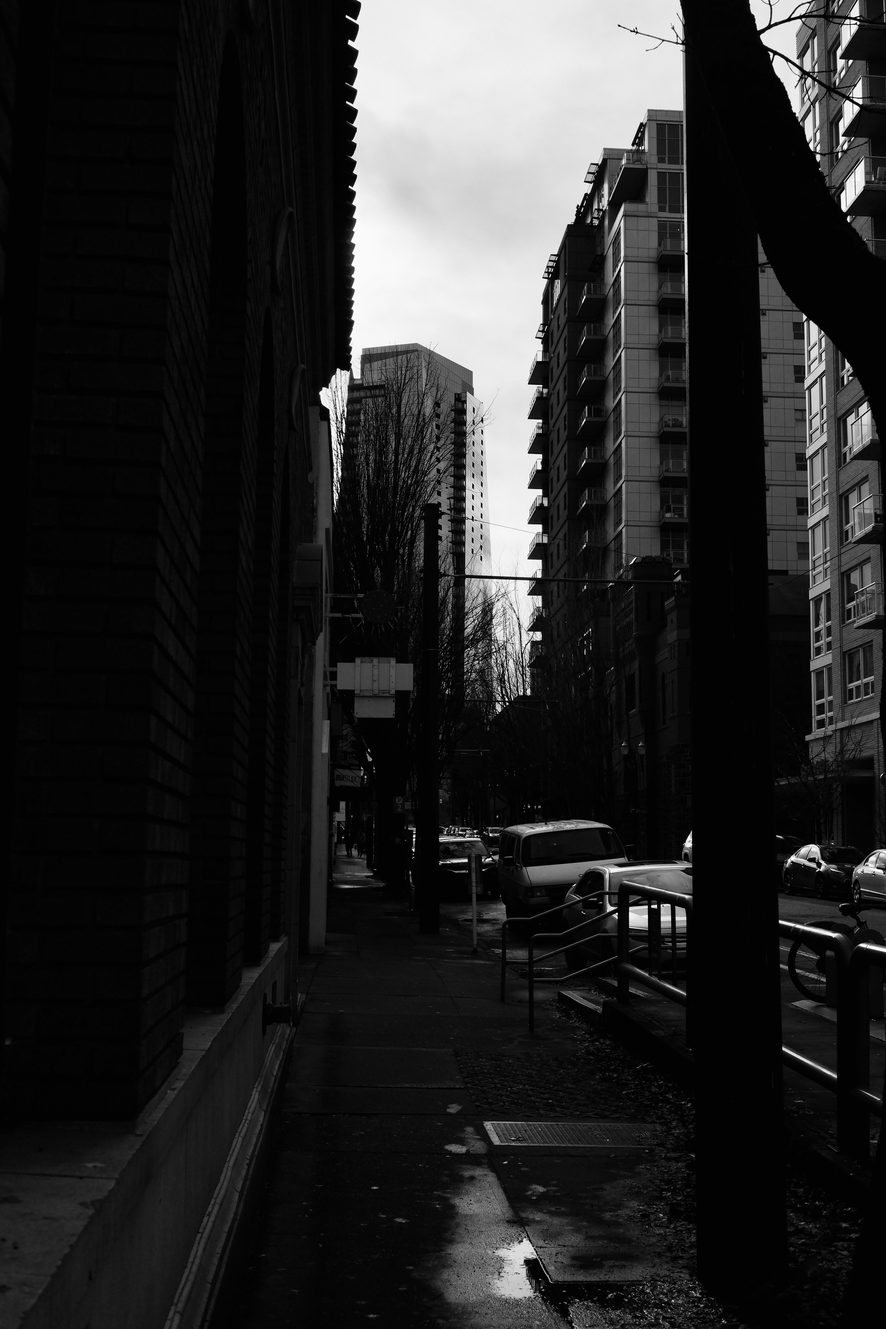 A monochrome city street scene features tall buildings on either side, with parked cars and bare trees lining the sidewalk.