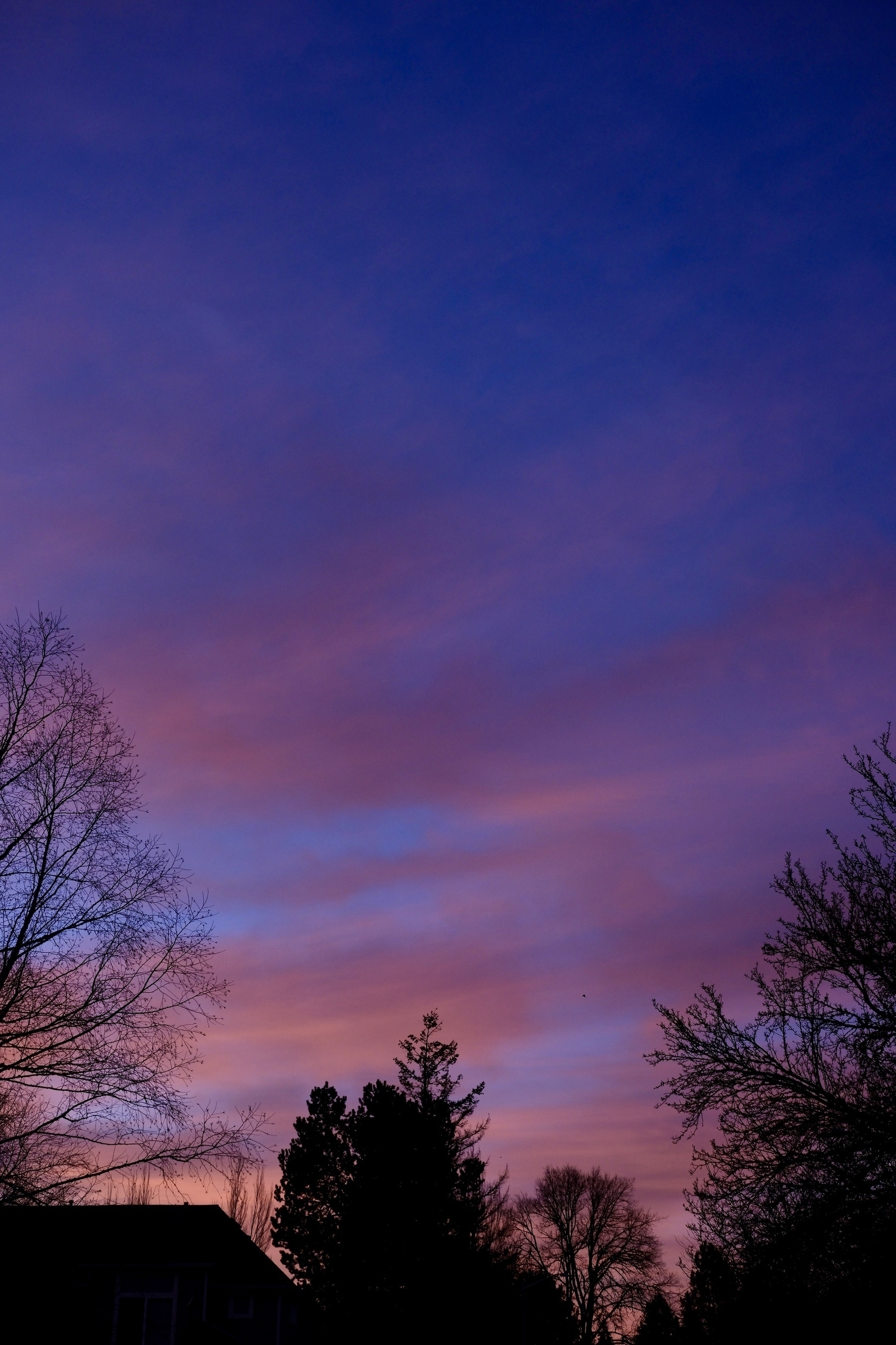 A serene sunset with a purple and pink sky is silhouetted by trees in the foreground. #pdx